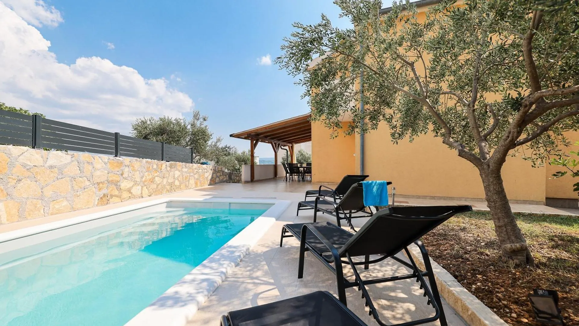 My Dalmatia - Holiday Home Nekic With Private Swimming Pool And Sea View Maslenica 0*,  Croatia